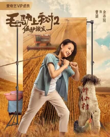 胸罩美女