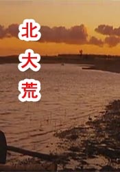 一级特黄aa大片