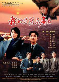 99久久精品视频免费