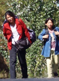 日韩伦理片在线看