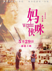 国产精品女上位在线观看