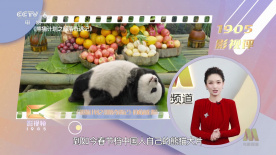 亚洲精品第一区二区在线